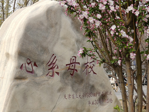 天津商业大学地理位置图片